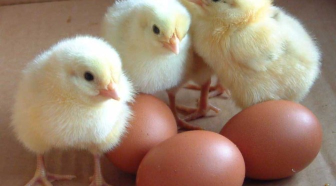 New Beginnings (from 7/11/14)